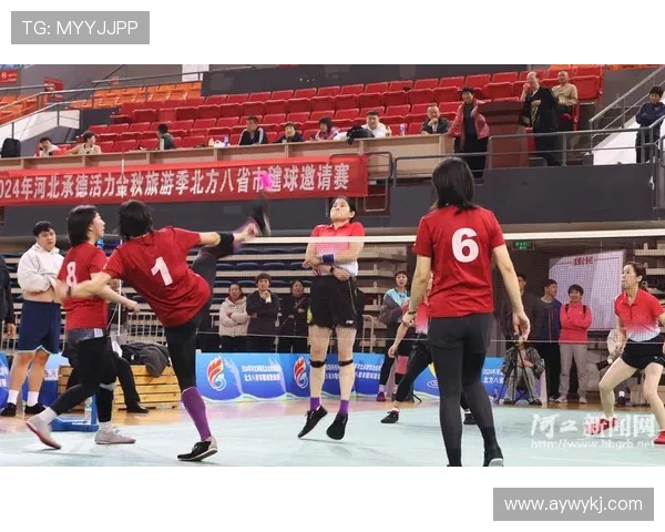 2025 全国大白毽邀请赛在鸡西盛大启幕